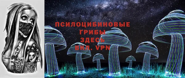 ГАЛЛЮЦИНОГЕННЫЕ ГРИБЫ Киренск